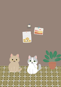 cat in the house / brown