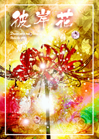 Cluster amaryllis feng shui