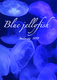 Blue Light Jellyfish3