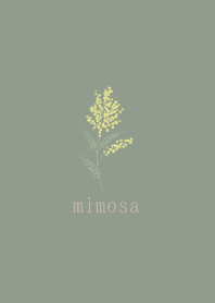 mimosa simple green