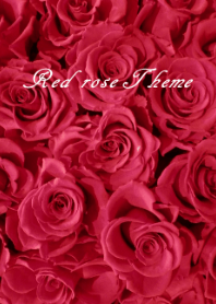 薔薇写真着せかえ