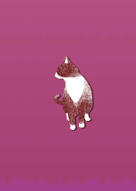 Simple adult cat 1005