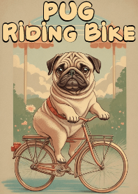 可愛巴哥犬騎腳踏車