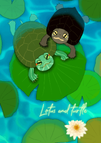 Lotus and turtle.