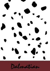 Dalmatian -Bordeaux-