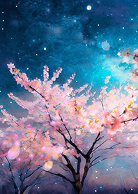 Beautiful night cherry blossoms#1788