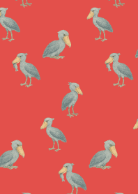I am a shoebill2 on red