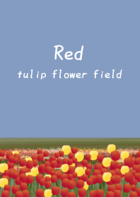 red tulip flower field