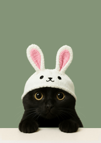 lack Cat Bunny Ears | Smoky Green