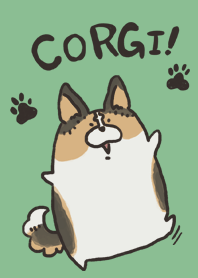 Kuuga everyday Corgi