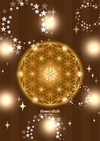 全ての運気アップ✿フラワーオブライフ