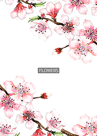 water color flowers_647