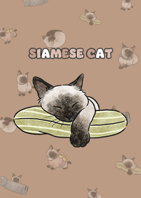 siamesecats4 / mocha