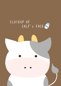 CLOSEUP OF CALF's FACE/BROWN