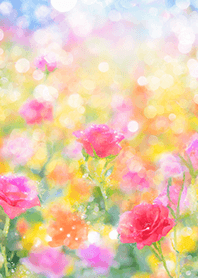 Beautiful rose flower(R5803)