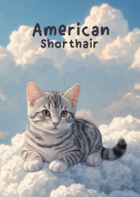 American Shorthair on The Sky