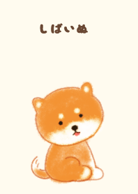 Shiba inu Brown