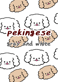 pekingese dog theme1 gray white