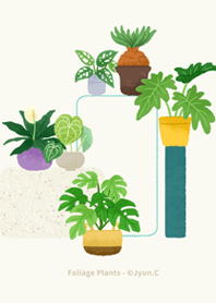 觀葉植物 8