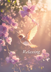 Relaxing nature and bird - JP 01