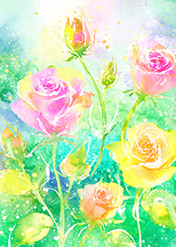 Beautiful rose flower(R1164)