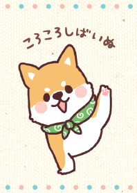 fluffy fat Shiba