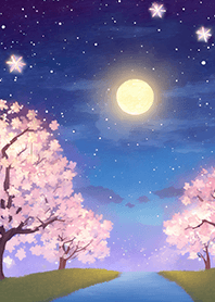Beautiful night cherry blossoms#1623