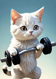 Fitness Cat MbMsz