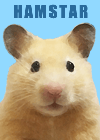 キンクマハムスター