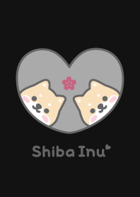 Shiba Inu Cherry blossoms - Black
