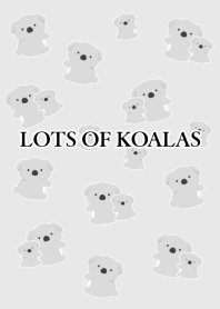 LOTS OF KOALASj-LIGHT GRAY