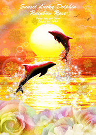 Sunset Lucky Dolphin Rainbow Rose
