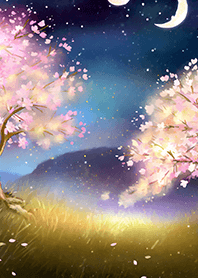 Beautiful night cherry blossoms#1036