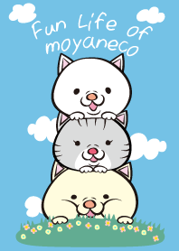 Fun life of moyaneco