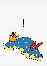 海にいる変な奴07 白
