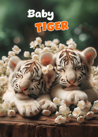cute little tiger cub 05