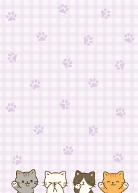 ลายสก็อตแมว.11