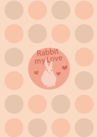rabbit my love