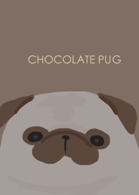 Chocolate pug