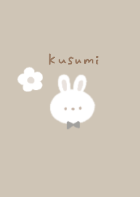 Dull simple cute rabbit