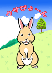 ウサぴょ~ん1