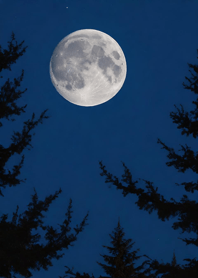 Moonlit Night F3D97E