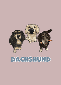 dachshund5 / rose pink