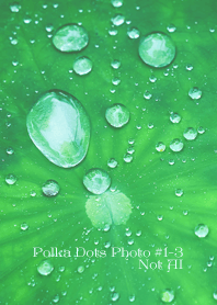 Polka Dots Photo#1-3Not AI