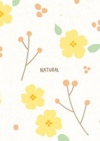 花　実　可憐27