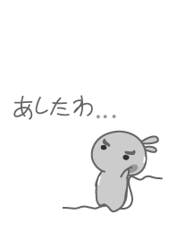 rabbit staring-35