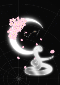 月亮 十二生肖 蛇 天蝎座