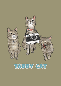 tabbycat11 / olive