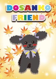 RUBY&FRIEND [toy poodle/Black] Autumn+