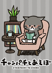 Cute cat 'Cyanpachi'-Kumasan-
